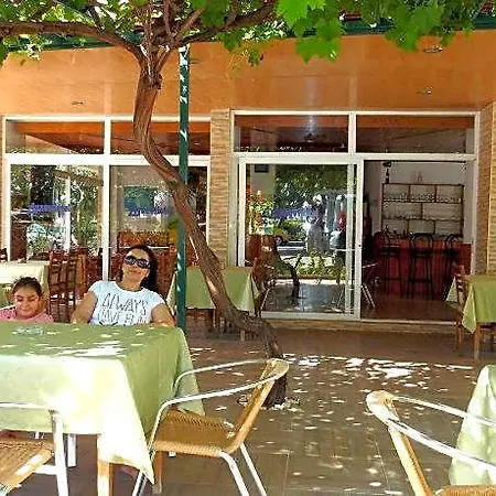 Aysev 2*